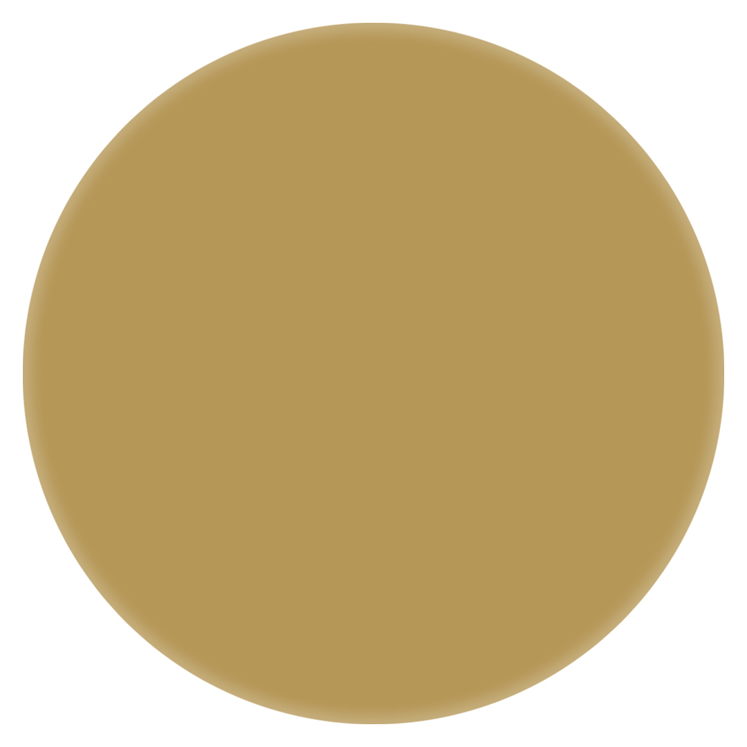 Montana MARBLE Effect Spray Gold 400 ml